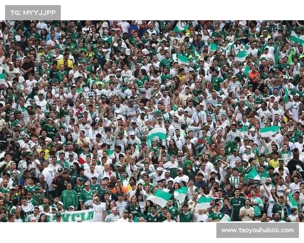 世俱杯迈阿密国际与帕尔梅拉斯分组赛渐入佳境对决前瞻 世俱杯迈阿密国际与帕尔梅拉斯分组赛渐入佳境对决前瞻